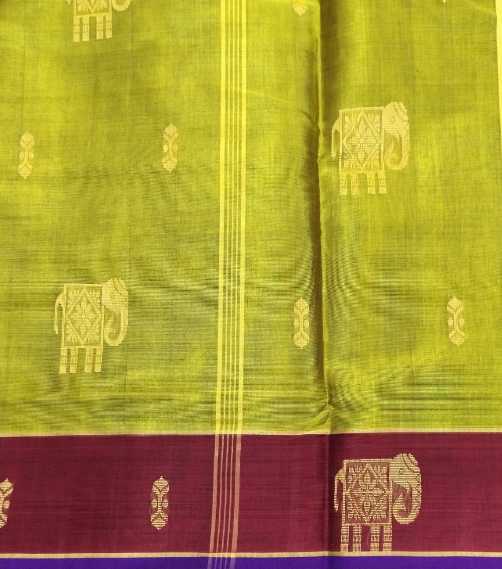 Devendra 10.5yards Body Big butta
