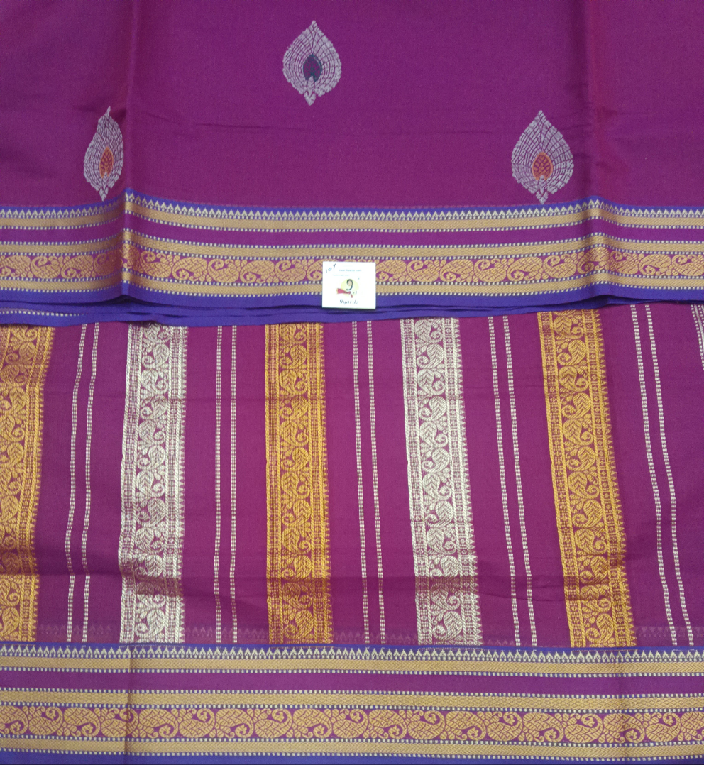 Kanchi cotton madisar