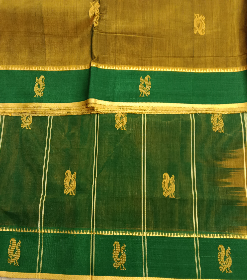 Devendra 10.5yards Body Big butta