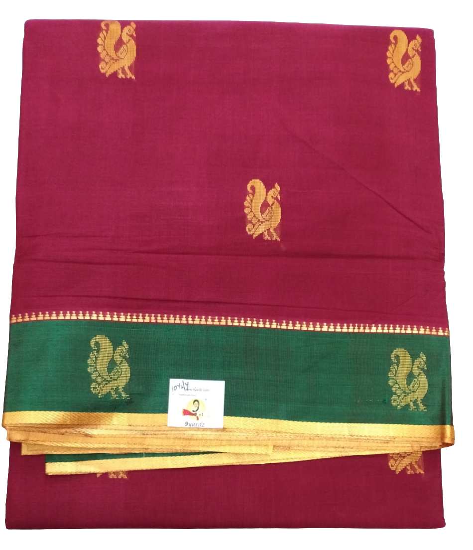 Devendra 10.5yards Body Big butta