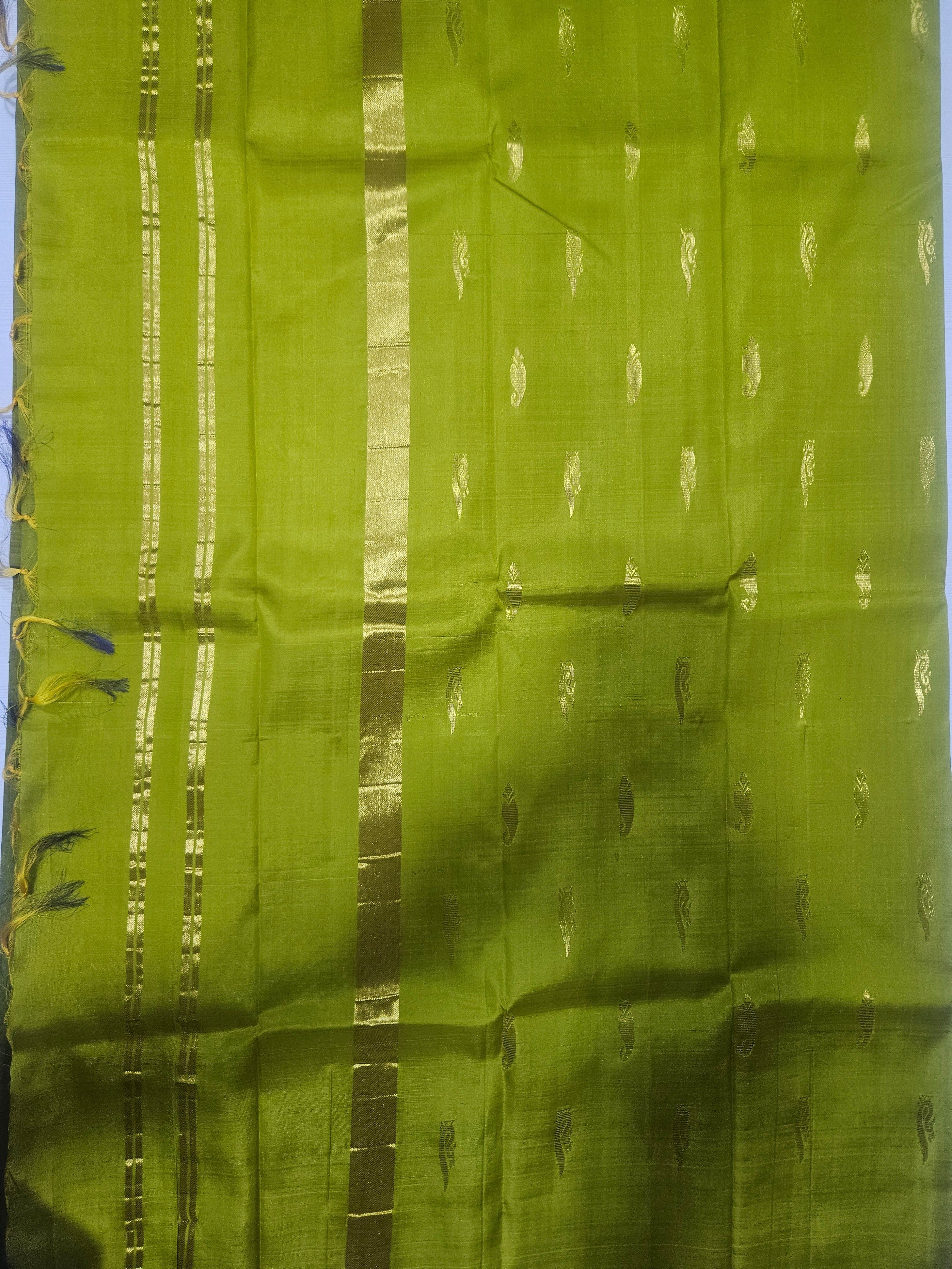 Pure Silk 6yards Algea green