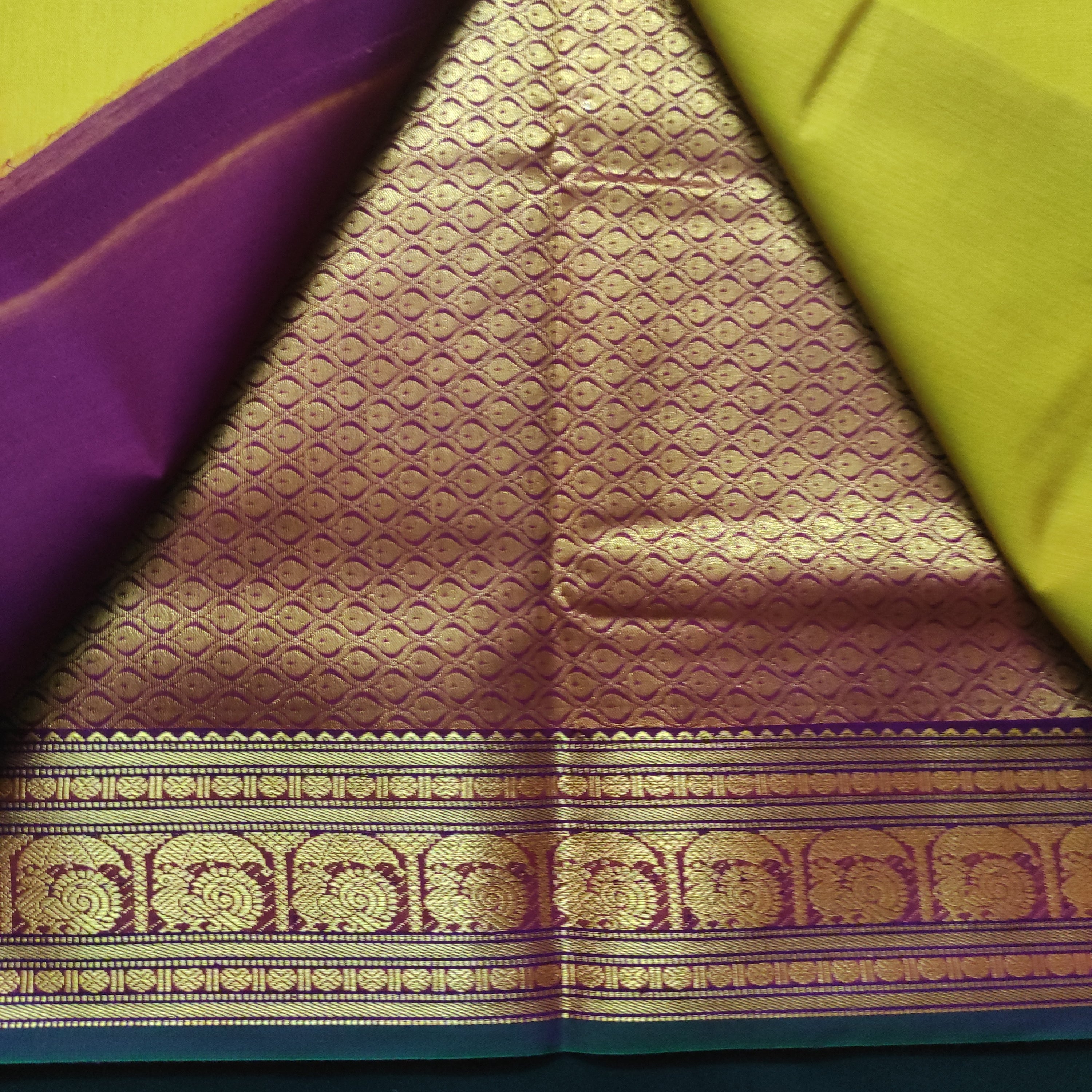 Akshaya Cotton 10.25 yards madisar