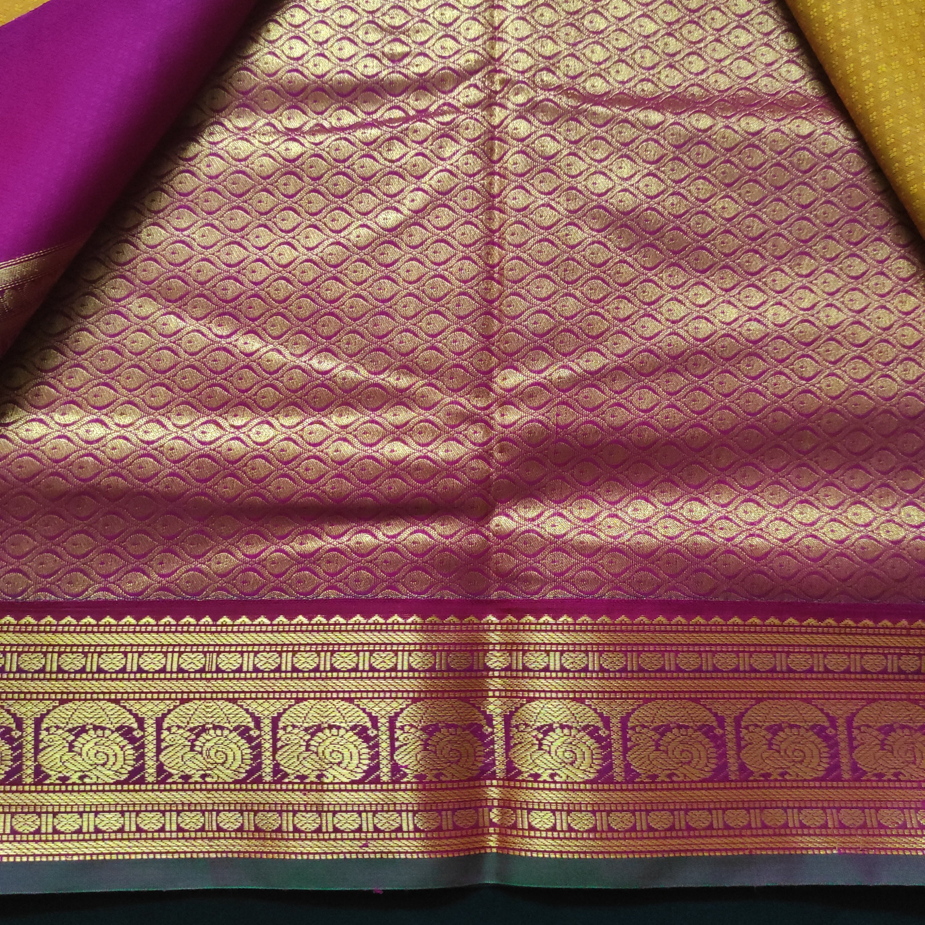 Akshaya Cotton 10.25 yards madisar