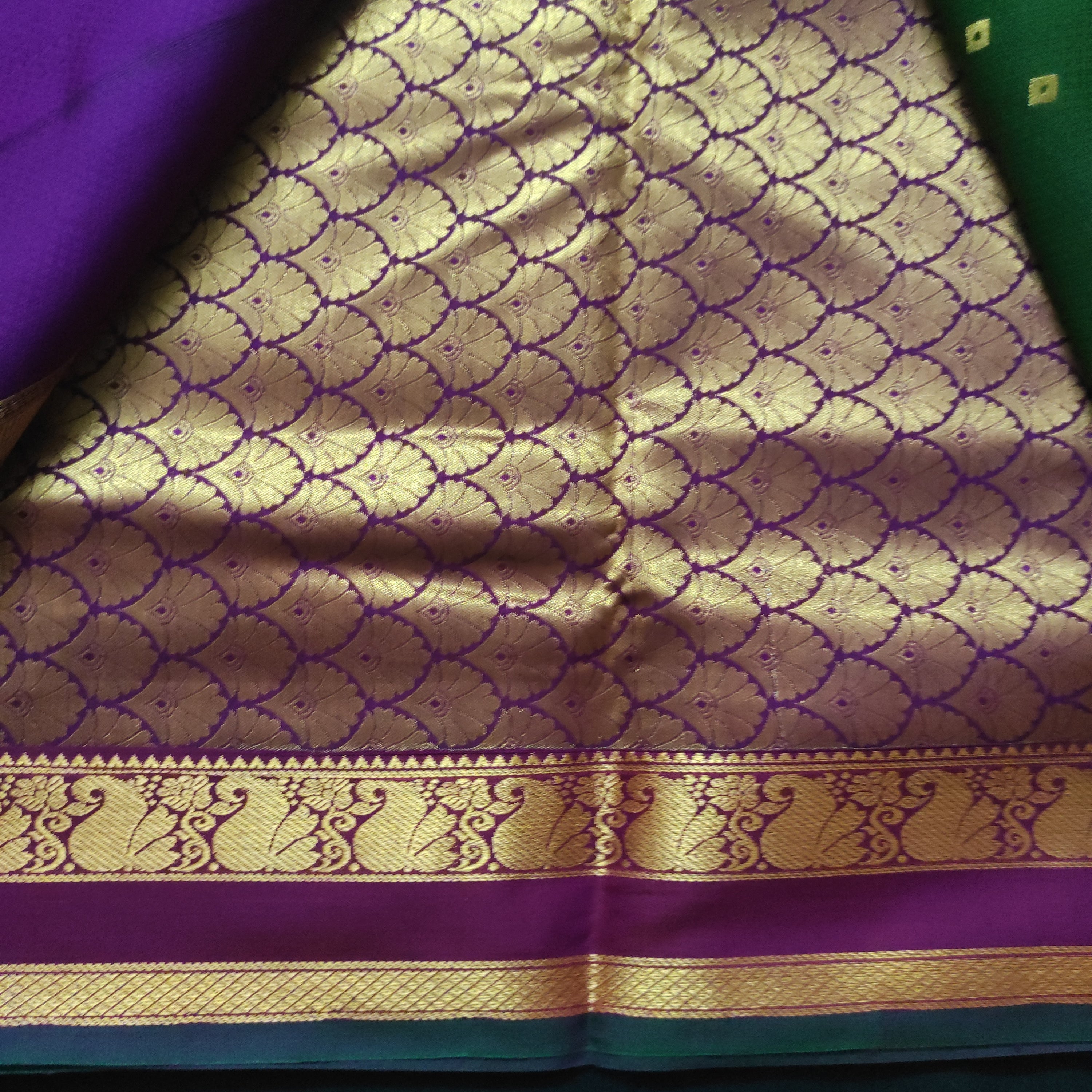 Akshaya Cotton 10.25 yards madisar